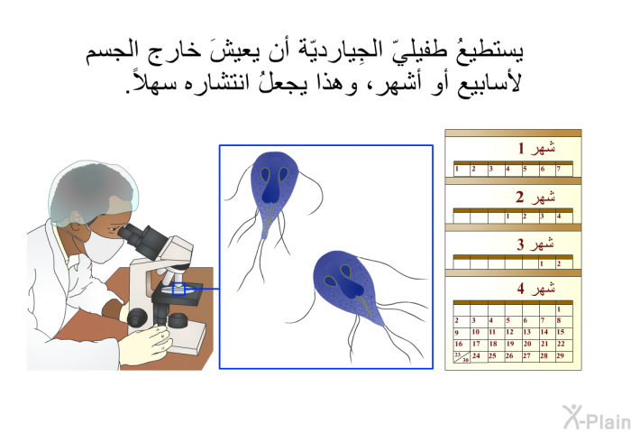 يستطيعُ طفيليّ الجِيارديّة أن يعيشَ خارج الجسم لأسابيع أو أشهر، وهذا يجعلُ انتشاره سهلاً.