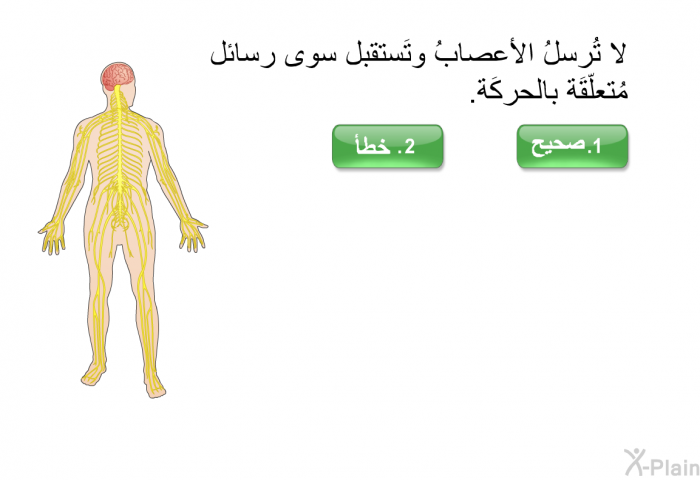 لا تُرسلُ الأعصابُ وتَستقبل سوى رسائل مُتعلّقَة بالحركَة.