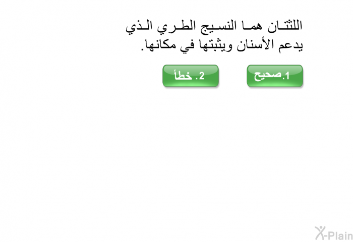 اللثتان هما النسيج الطري الذي يدعم الأسنان ويثبتها في مكانها.