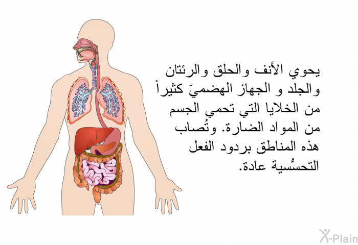 يحوي الأنف والحلق والرئتان والجلد والجهاز الهضمي كثيراً من الخلايا التي تحمي الجسم من المواد الضارة. وتُصاب هذه المناطق بردود الفعل التحسُّسية عادة.