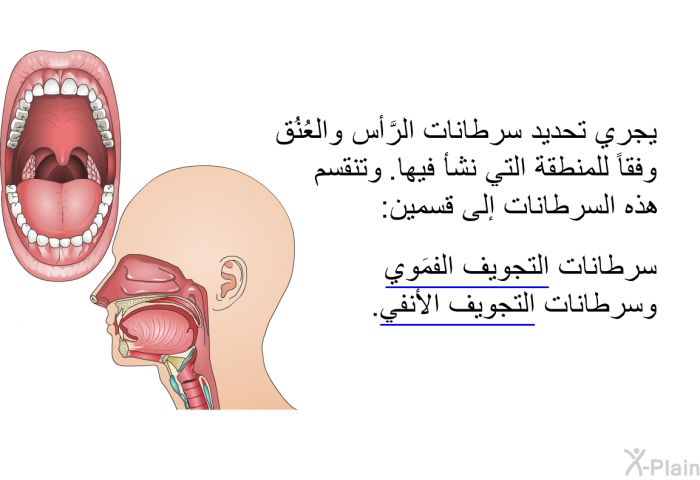 يجري تحديد سرطانات الرَّأس والعُنُق وفقاً للمنطقة التي نشأ فيها. وتنقسم هذه السرطانات إلى قسمين: سرطانات التجويف الفمَوي وسرطانات التجويف الأنفي.