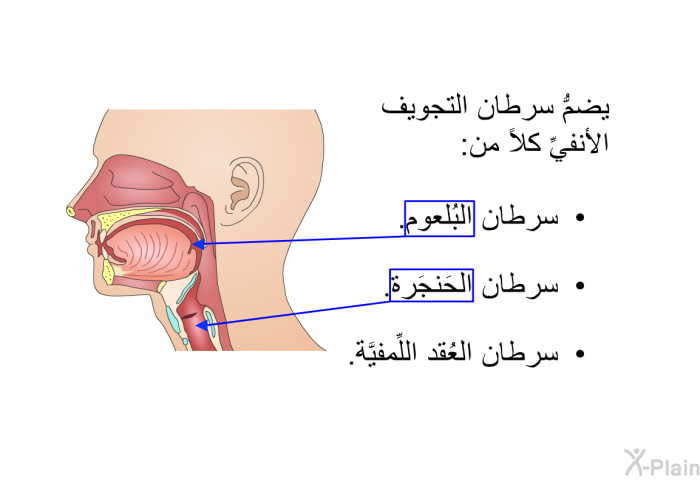 يضمُّ سرطان التجويف الأنفيِّ كلاً من:   سرطان البُلعوم.  سرطان الحَنجَرة. سرطان العُقد اللِّمفيَّة.