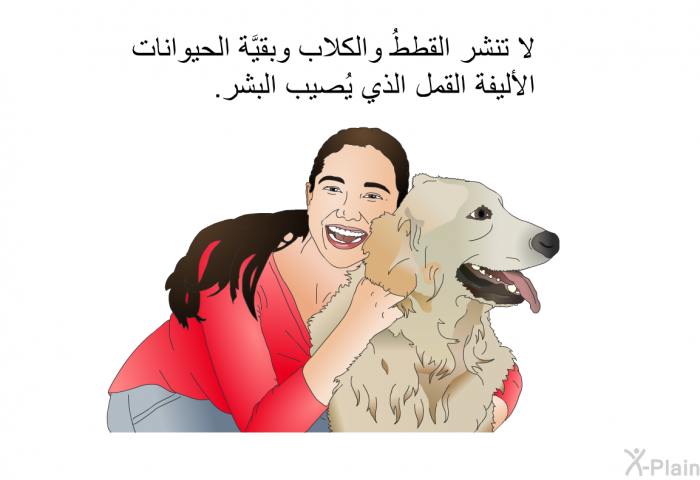 لا تنشر القططُ والكلاب وبقيَّة الحيوانات الأليفة القمل الذي يُصيب البشر.