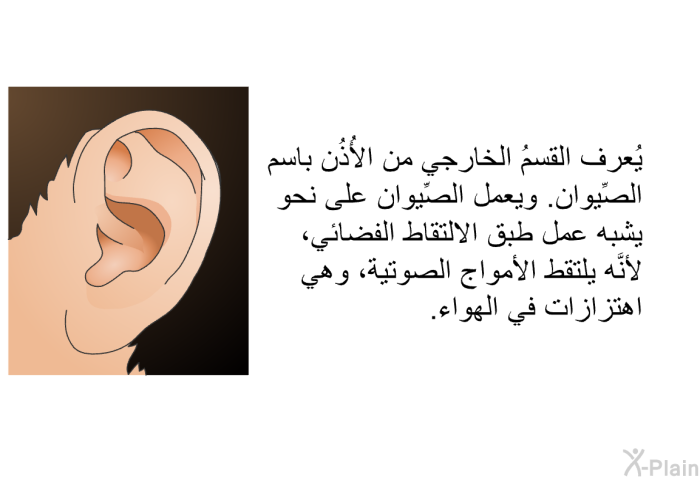 يُعرف القسمُ الخارجي من الأُذُن باسم الصِّيوان. ويعمل الصِّيوان على نحو يشبه عمل طبق الالتقاط الفضائي، لأنَّه يلتقط الأمواج الصوتية، وهي اهتزازاتٌ في الهواء.