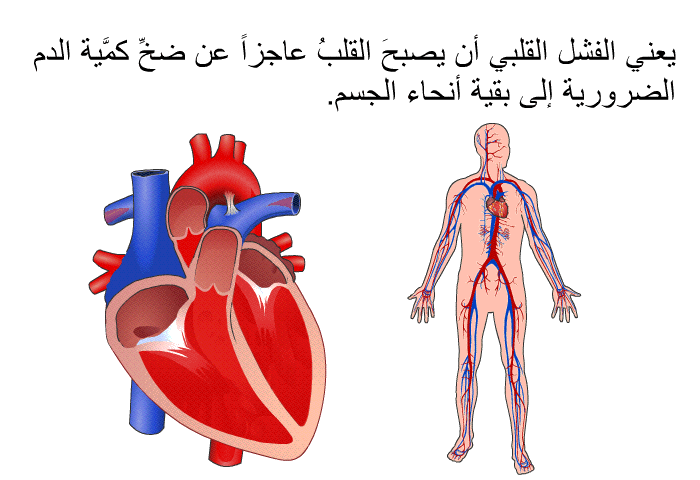 يعني الفشل القلبي أن يصبحَ القلبُ عاجزاً عن ضخِّ كمَّية الدم الضرورية إلى بقية أنحاء الجسم.