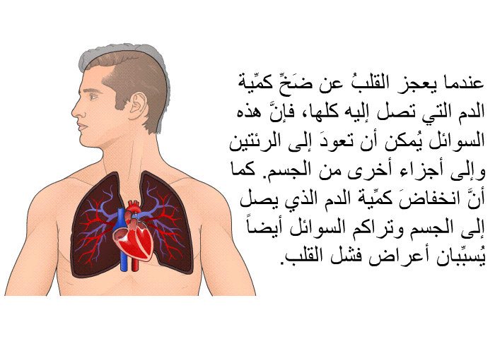 عندما يعجز القلبُ عن ضَخِّ كمِّية الدم التي تصل إليه كلها، فإنَّ هذه السوائل يُمكن أن تعودَ إلى الرئتين وإلى أجزاء أخرى من الجسم. كما أنَّ انخفاضَ كمِّية الدم الذي يصل إلى الجسم وتراكم السوائل أيضاً يُسبِّبان أعراض فشل القلب.