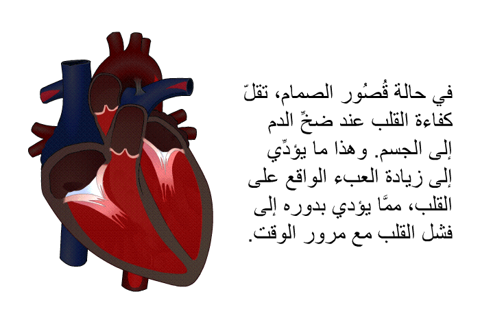 في حالة قُصُور الصمام، تقلّ كفاءة القلب عند ضخِّ الدم إلى الجسم. وهذا ما يؤدِّي إلى زيادة العبء الواقع على القلب، ممَّا يؤدي بدوره إلى فشل القلب مع مرور الوقت.