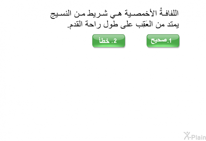 اللفافةُ الأخمصية هي شريط من النسيج يمتد من العَقِب على طول راحة القدم.