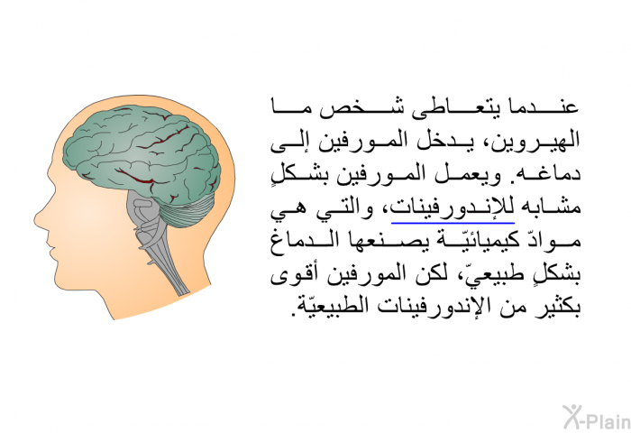 عندما يتعاطى شخصٌ ما الهيروين، يدخل المورفين إلى دماغه. ويعمل المورفين بشكلٍ مشابه للإندورفينات، والتي هي موادّ كيميائيّة يصنعها الدماغ بشكلٍ طبيعيّ، لكن المورفين أقوى بكثير من الإندورفينات الطبيعيّة.