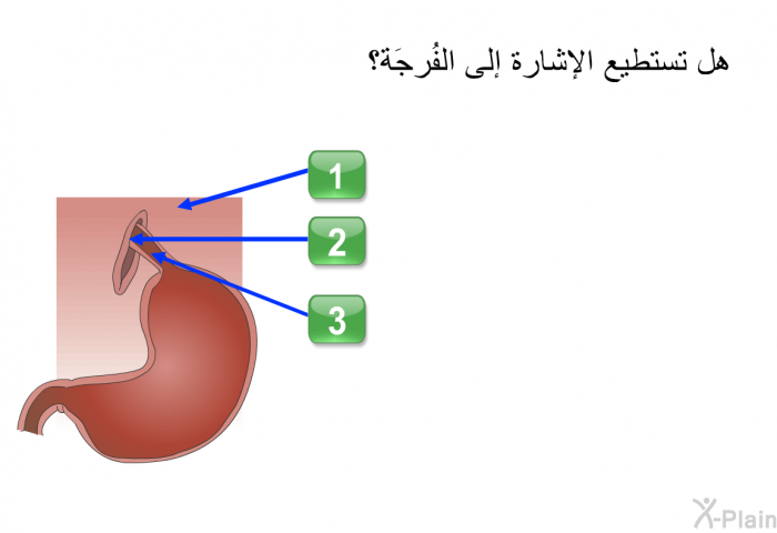 هل تستطيع الإشارة إلى الفُرجَة؟