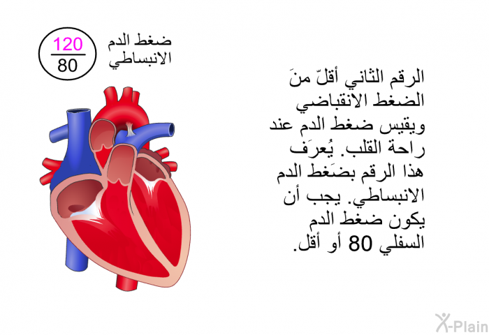 الرقم الثاني أقلّ منَ الضغط الانقباضي ويقيس ضغط الدم عند راحة القلب. يُعرَف هذا الرقم بضَغط الدم الانبساطي. يجب أن يكون ضغط الدم السفلي 80 أو أقل.