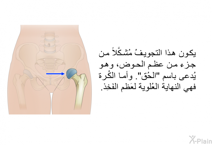 يكون هذا التجويفُ مُشكَّلاً من جزء من عظم الحوض، وهو يُدعى باسم "الحُق". وأما الكُرة فهي النهاية العُلوية لعَظم الفَخِذ.