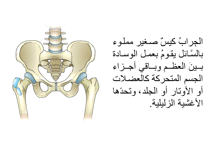 الجِرابُ كيسٌ صغير مملوء بالسَّائل يقومُ بعملِ الوسادة بينَ العظم وباقي أجزاء الجسم المتحرّكة كالعضلات أو الأوتار أو الجلد، وتحدّها الأغشية الزّليلية.