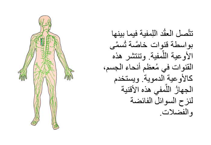 تتَّصل العقُد اللِمفية فيما بينها بواسطة قنوات خاصَّة تُسمَّى الأوعية اللِّمفية. وتنتشر هذه القنوات في مُعظم أنحاء الجسم، كالأوعية الدموية. ويستخدم الجهازُ اللِّمفي هذه الأقنية لنزح السوائل الفائضة والفضلات.