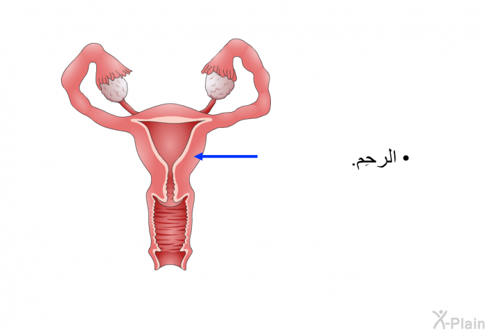 الرحِم.