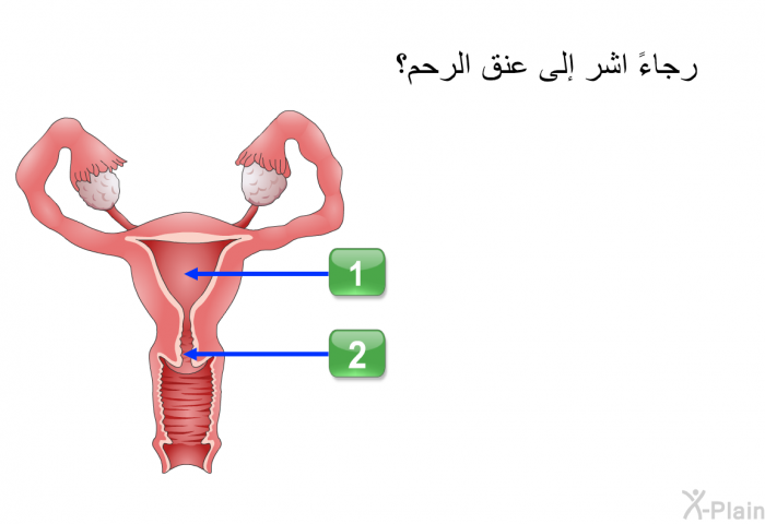 رجاءً اشر إلى عنق الرحم.