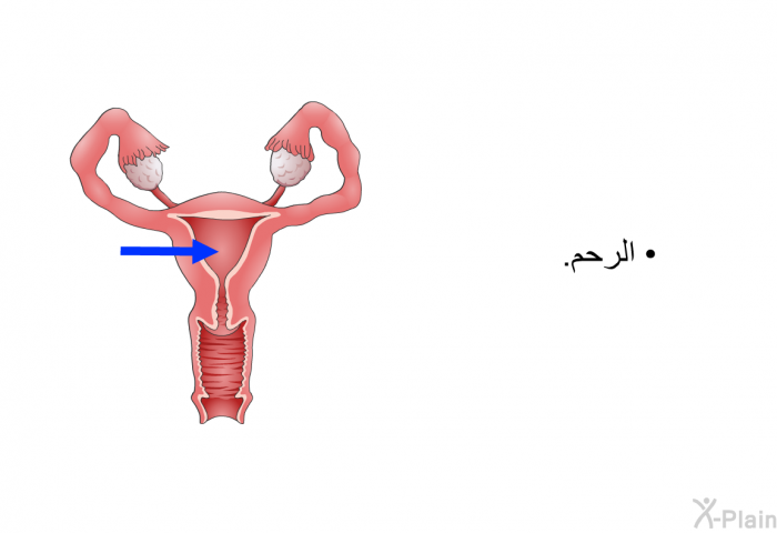 الرحم