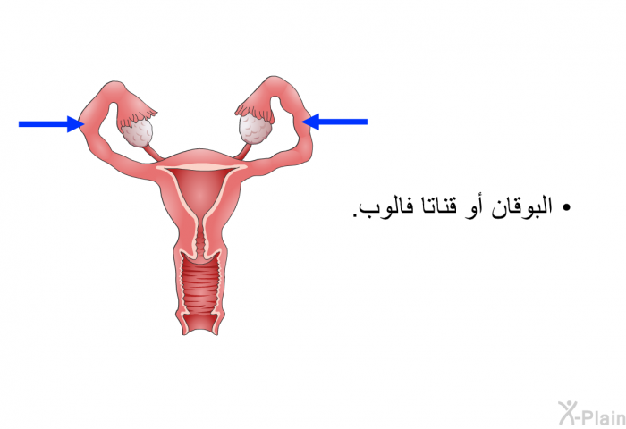 البوقان أو قناتا فالوب