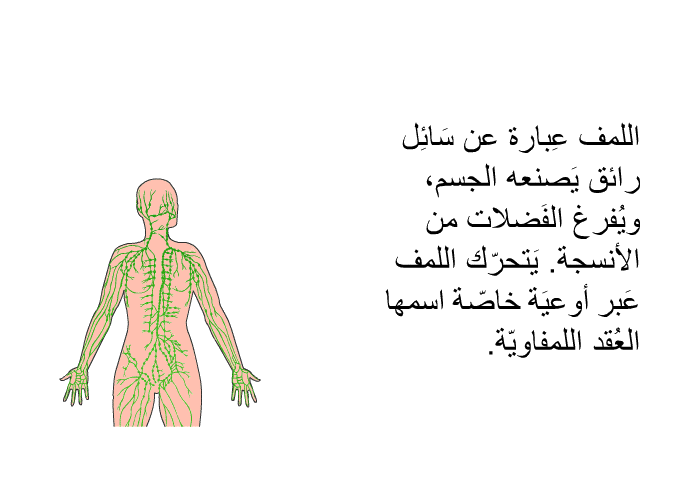 اللمف عِبارة عن سَائِل رائق يَصنعه الجسم، ويُفرغ الفَضلات من الأنسجة. يَتحرّك اللمف عَبر أوعيَة خاصّة اسمها العُقد اللمفاويّة.