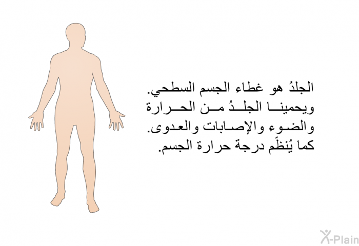 الجلدُ هو غطاء الجسم السطحي. ويحمينا الجلدُ من الحرارة والضوء والإصابات والعدوى. كما يُنظّم درجةَ حرارة الجسم.