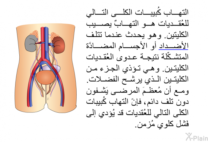 التهاب كُبيبات الكلى التالي للعُقديات هو التهابٌ يصيب الكليتين. وهو يحدث عندما تُتْلف الأضداد أو الأجسام المضادَّة المتشكِّلة نتيجة عدوى العُقديات، الكليتين. وهي تؤذي الجزء من الكليتين الذي يرشح الفضلات. ومع أن مُعظمَ المرضى يَشفون دون تلف دائم، فإنّ التهاب كُبيبات الكلى التالي للعُقديات قد يُؤدي إلى فَشل كلوي مُزمن.