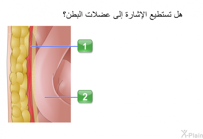 هل تستطيع الإشارة إلى عضلات البطن؟