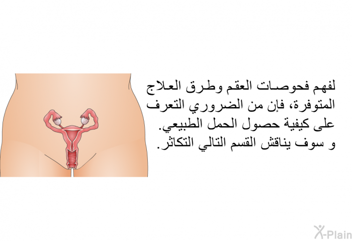 لفهم فحوصات العقم وطرق العلاج المتوفرة، فإن من الضروري التعرف على كيفية حصول الحمل الطبيعي. و سوف يناقش القسم التالي التكاثر.