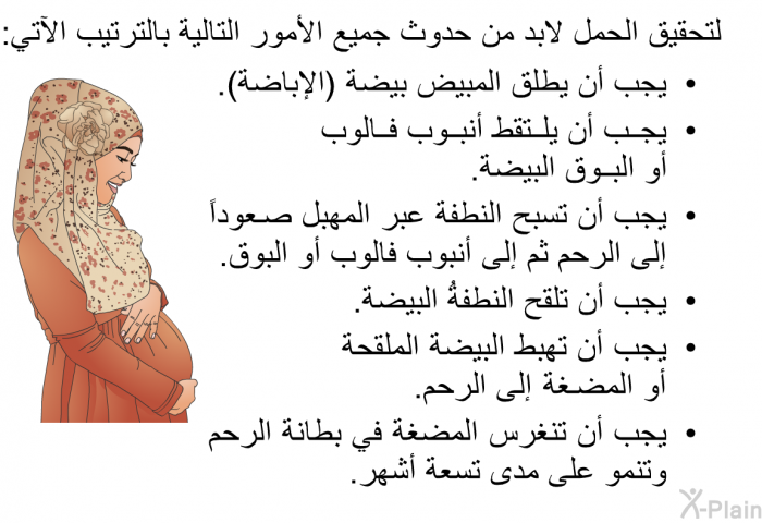 لتحقيق الحمل لابد من حدوث جميع الأمور التالية بالترتيب الآتي:  يجب أن يطلق المبيض بيضة (الإباضة). يجب أن يلتقط أنبوب فالوب أو البوق البيضة . يجب أن تسبح النطفة عبر المهبل صعوداً إلى الرحم ثم إلى أنبوب فالوب أو البوق. يجب أن تلقح النطفةُ البيضة . يجب أن تهبط البيضة الملقحة أو المضغة إلى الرحم. يجب أن تنغرس المضغة في بطانة الرحم وتنمو على مدى تسعة أشهر.