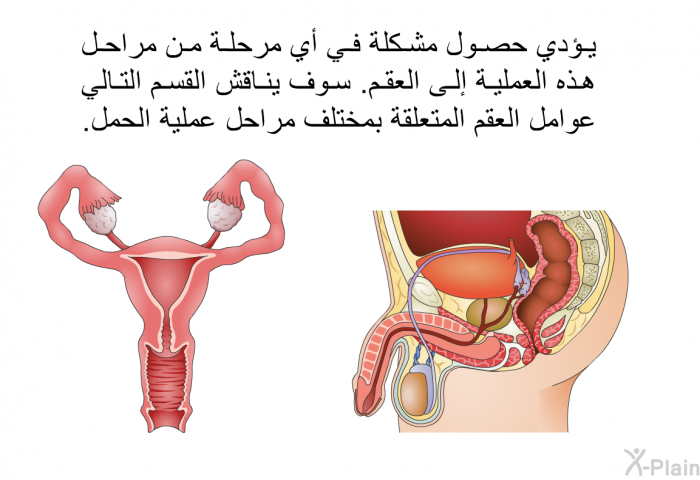 يؤدي حصول مشكلة في أي مرحلة من مراحل هذه العملية إلى العقم. سوف يناقش القسم التالي عوامل العقم المتعلقة بمختلف مراحل عملية الحمل.