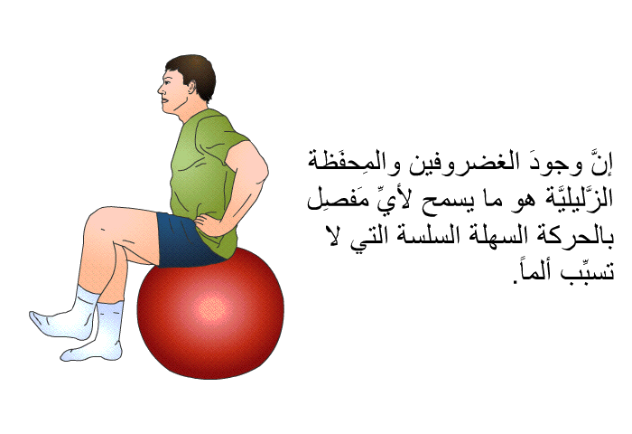 إنَّ وجودَ الغضروفين والمِحفَظة الزَّليليَّة هو ما يسمح لأيِّ مَفصِل بالحركة السهلة السلسة التي لا تسبِّب ألماً.