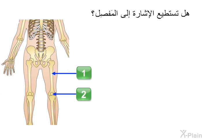 هل تستطيع الإشارة إلى المفصل؟