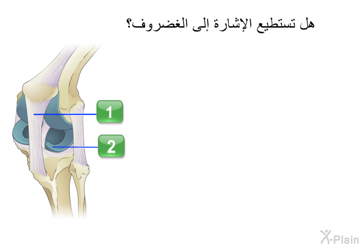 هل تستطيع الإشارة إلى الغضروف؟