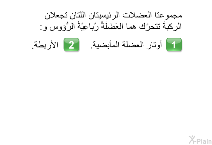 مجموعتا العضلات الرئيسيتان اللتان تجعلان الركبةَ تتحرَّك هما العَضَلَةُ رُباعِيَّةُ الرُّؤوس و:  أوتار العضلة المأبضية. الأربطة.