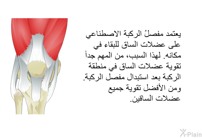 يعتمد مفصلُ الركبة الاصطناعي على عضلات الساق للبقاء في مكانه. لهذا السبب، من المهم جداً تقوية عضلات الساق في منطقة الركبة بعد استبدال مفصل الركبة. ومن الأفضل تقوية جميع عضلات الساقين.