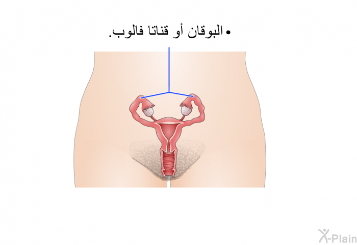 البوقان أو قناتا فالوب.