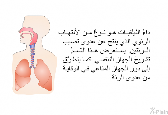 داءُ الفَيلقيات هو نوعٌ من الألتهاب الرئوي الذي ينتج عن عدوى تصيب الرئتين. يستعرض هذا القسمُ تشريحَ الجهاز التنفسي. كما يتطرَّق إلى دور الجهاز المناعي في الوقاية من عدوى الرئة.