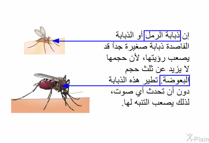 إن ذبابة الرمل أو الذبابة الفاصدة ذبابة صغيرة جدا قد يصعب رؤيتها، لأن حجمها لا يزيد عن ثلث حجم البعوضة. تطير هذه الذبابة دون أن تحدث أي صوت، لذلك يصعب التنبه لها.