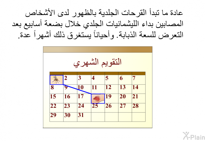 عادة ما تبدأ القرحات الجلدية بالظهور لدى الأشخاص المصابين بداء الليشمانيات الجلدي خلال بضعة أسابيع بعد التعرض للسعة الذبابة. وأحياناً يستغرق ذلك أشهراً عدة.