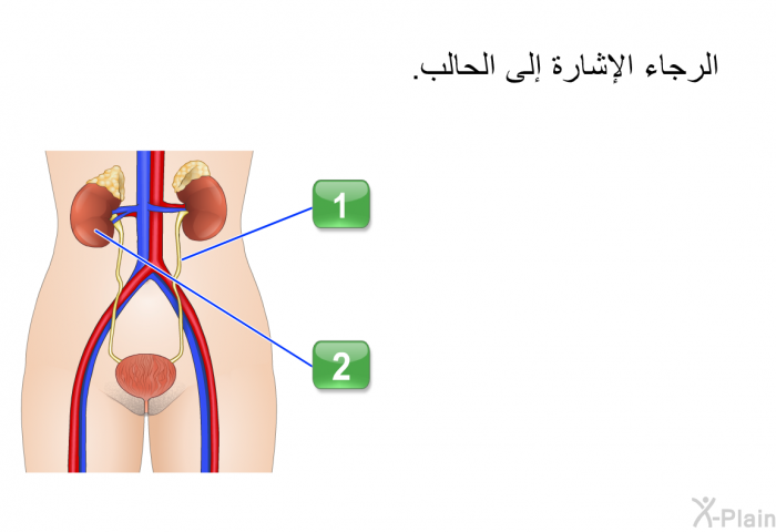 الرجاء الإشارة إلى الحالب.