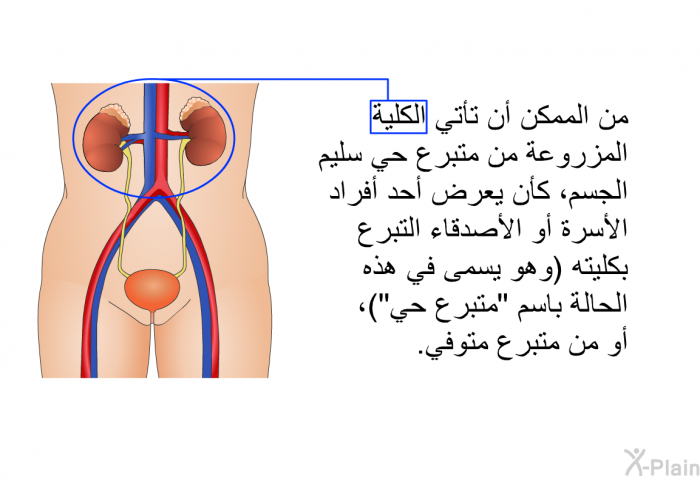 من الممكن أن تأتي الكلية المزروعة من متبرع حي سليم الجسم، كأن يعرض أحد أفراد الأسرة أو الأصدقاء التبرع بكليته (وهو يسمى في هذه الحالة باسم "متبرع حي")، أو من متبرع متوفي.