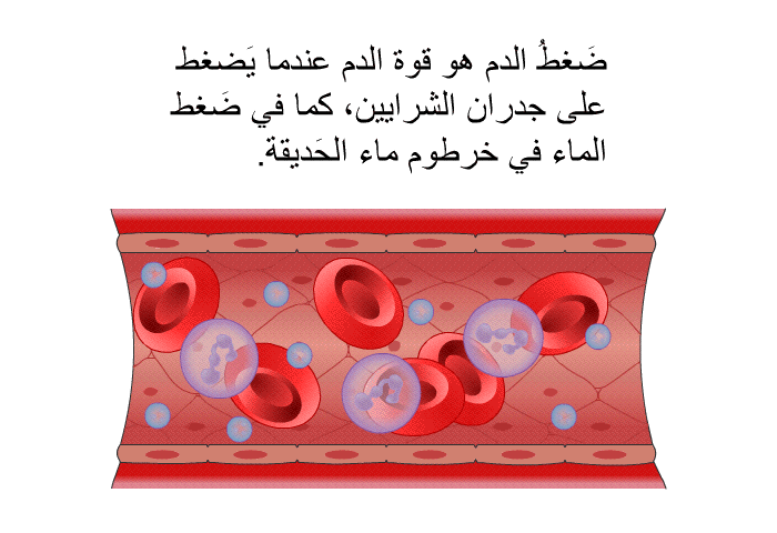 ضَغطُ الدم هو قوة الدم عندما يَضغط على جدران الشرايين، كما في ضَغط الماء في خرطوم ماء الحَديقة.