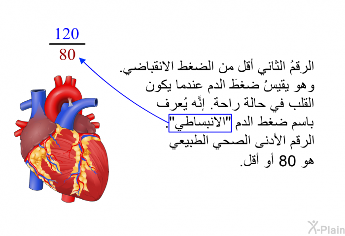الرقمُ الثاني أقل من الضغط الانقباضي. وهو يقيسُ ضغطَ الدم عندما يكون القلب في حالة راحة. إنَّه يُعرف باسم ضغط الدم "الانبساطي". الرقم الأدنى الصحي الطبيعي هو 80 أو أقل.