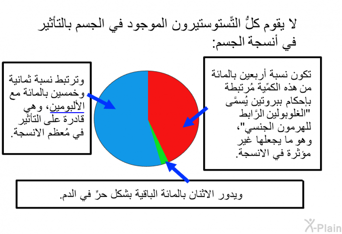 لا يقوم كلُّ التِّستوستيرون الموجود في الجسم بالتأثير في أنسجة الجسم:  تكون نسبة أربعين بالمائة من هذه الكمِّية مُرتبطة بإحكام ببروتين يُسمَّى "الغلوبولين الرَّابط للهرمون الجنسي"، وهو ما يجعلها غير مُؤثِّرة في الانسجة. وترتبط نسبة ثمانية وخمسين بالمائة مع الألبومين، وهي قادرة على التأثير في مُعظم الانسجة. ويدور الاثنان بالمائة الباقية بشكل حرٍّ في الدم.