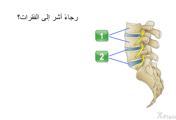 رجاءً أشر إلى الفقرات؟