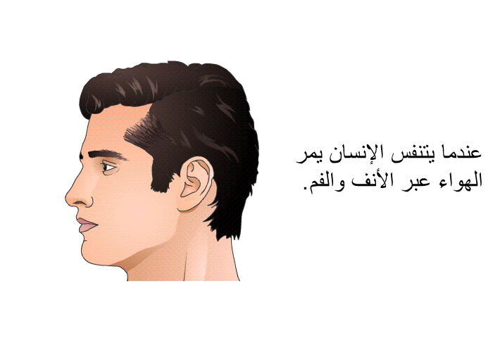 عندما يتنفس الإنسان يمر الهواء عبر الأنف والفم.