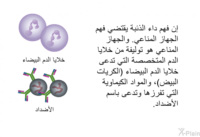 إن فهم داء الذئبة يقتضي فهم الجهاز المناعي. والجهاز المناعي هو توليفة من خلايا الدم المتخصصة التي تدعى خلايا الدم البيضاء (الكريات البيض)، والمواد الكيماوية التي تفرزها وتدعى باسم الأضداد.