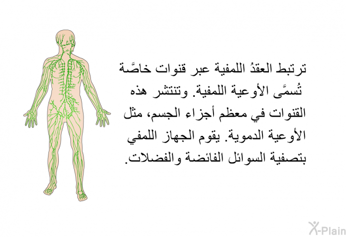 ترتبط العقدُ اللمفية عبر قنوات خاصَّة تُسمَّى الأوعية اللمفية. وتنتشر هذه القنوات في معظم أجزاء الجسم، مثل الأوعية الدموية. يقوم الجهاز اللمفي بتصفية السوائل الفائضة والفضلات.