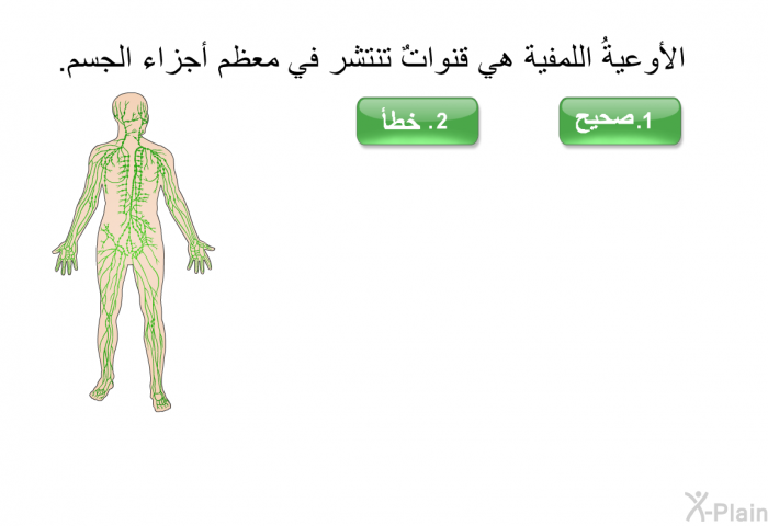 الأوعيةُ اللمفية هي قنواتٌ تنتشر في معظم أجزاء الجسم.