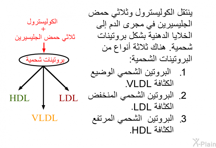 ينتقل الكوليسترول وثلاثي حمض الجليسيرين في مجرى الدم إلى الخلايا الدهنية بشكل بروتينات شحمية. هناك ثلاثة أنواع من البروتينات الشحمية:  البروتين الشحمي الوضيع الكثافة VLDL البروتين الشحمي المنخفض الكثافة LDL البروتين الشحمي المرتفع الكثافَة HDL