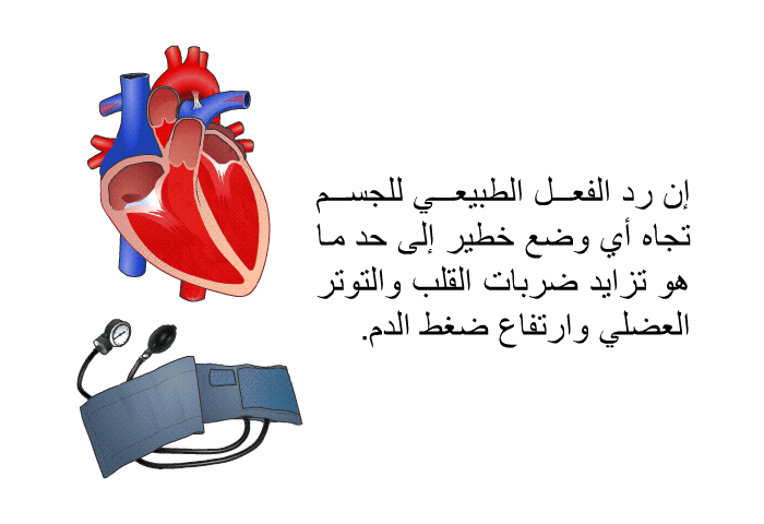 إن رد الفعل الطبيعي للجسم تجاه أي وضع خطير إلى حد ما هو تزايد ضربات القلب والتوتر العضلي وارتفاع ضغط الدم.